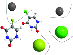 Graphical abstract: Electron transfer processes in potassium collisions with 5-fluorouracil and 5-chlorouracil