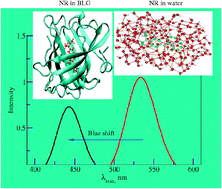 Graphical abstract: Color modeling of protein optical probes