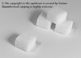 Graphical abstract: Organocatalytic synthesis of carbohydrates