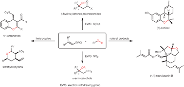 Graphical abstract: Recent developments in the field of oxa-Michael reactions