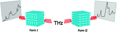 Graphical abstract: Terahertz spectroscopy: a powerful new tool for the chemical sciences?