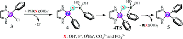 Graphical abstract: Density functional studies on diimine chelated palladium complex catalyzed Suzuki–Miyaura cross-coupling reaction: the impact of Lewis base employed in transmetallation process