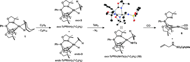 Graphical abstract: Allylic C–H bond activation and functionalization mediated by tris(oxazolinyl)borato rhodium(i) and iridium(i) compounds
