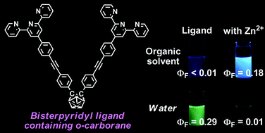 Graphical abstract: A luminescent coordination polymer based on bisterpyridyl ligand containing o-carborane: two tunable emission modes