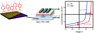 Graphical abstract: Increased efficiency in small molecule organic photovoltaic cells through electrode modification with self-assembled monolayers