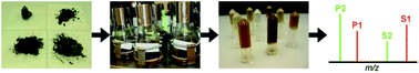 Graphical abstract: Colloid-based multiplexed screening for plant biomass-degrading glycoside hydrolase activities in microbial communities