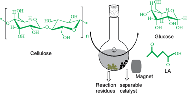 Graphical abstract: Hydrolysis of biomass by magnetic solid acid