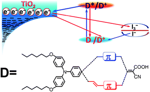 Graphical abstract: The structure–property relationship of organic dyes in mesoscopic titania solar cells: only one double-bond difference