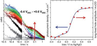 Graphical abstract: Correlating long-lived photogenerated hole populations with photocurrent densities in hematite water oxidation photoanodes