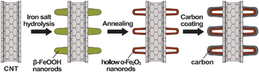 Graphical abstract: Assembling carbon-coated α-Fe2O3 hollow nanohorns on the CNT backbone for superior lithium storage capability