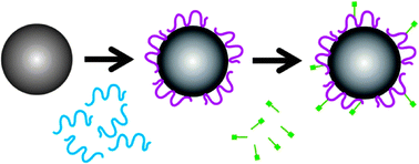 Graphical abstract: Bimolecular integrin–ligand interactions quantified using peptide-functionalized dextran-coated microparticles