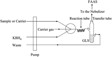 Graphical abstract: Synergetic enhancement effect of room temperature ionic liquids and ammonium pyrrolidine dithiocarbamate on the chemical vapor generation of iron, cobalt and nickel in environmental and biological samples by atomic absorption spectrometric determination