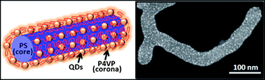 Graphical abstract: Preparation and photo/chemical-activation of wormlike network micelles of core–shell quantum dots and block copolymer hybrids