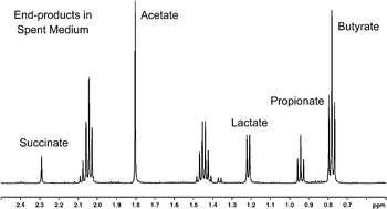 Graphical abstract: Metabolic footprinting of the anaerobic bacterium Fusobacterium varium using 1H NMR spectroscopy