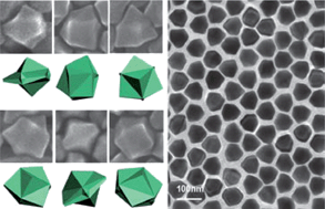 Graphical abstract: Synthesis of shield-like singly twinned high-index Au nanoparticles