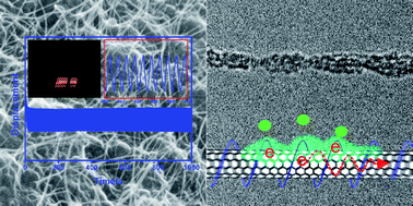 Graphical abstract: Supramolecular self-assembly of biopolymers with carbon nanotubes for biomimetic and bio-inspired sensing and actuation