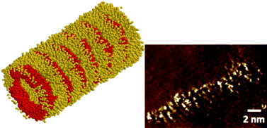 Graphical abstract: Striped nanowires and nanorods from mixed SAMS