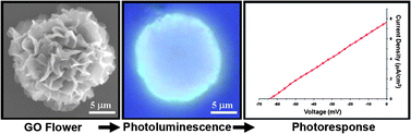Graphical abstract: High-order graphene oxide nanoarchitectures