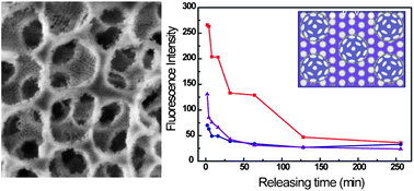 Graphical abstract: Synthesis of hierarchically nanoporous silica films for controlled drug loading and release