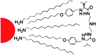 Graphical abstract: Photoluminescence of CdSe/ZnS core–shell quantum dots stabilized in water with a pseudopeptidic gemini surfactant