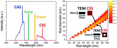 Graphical abstract: Coherent stokes scattering from gold nanorods: Critical dimensions and multicolor near-resonant plasmon excitation