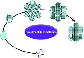 Graphical abstract: Bio-inspired synthesis: understanding and exploitation of the crystallization process from amorphous precursors