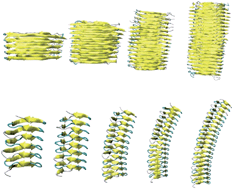 Graphical abstract: Comparative analysis of nanomechanics of protein filaments under lateral loading