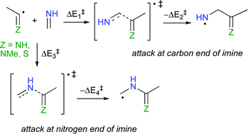 Graphical abstract: An ab initio and DFT study of radical addition reactions of imidoyl and thioyl radicals to methanimine