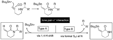 Graphical abstract: Radical carbonylation of ω-alkynylamines leading to α-methylene lactams. Synthetic scope and the mechanistic insights