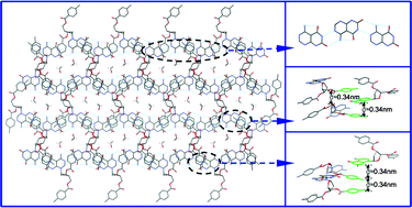 Graphical abstract: Janus-type AT nucleosides: synthesis, solid and solution state structures