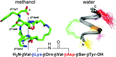 Graphical abstract: Positional screening and NMR structure determination of side-chain-to-side-chain cyclized β3-peptides
