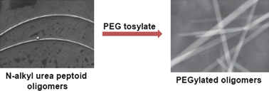 Graphical abstract: Investigation into fiber formation in N-alkyl urea peptoid oligomers and the synthesis of a water-soluble PEG/N-alkyl urea peptoid oligomer conjugate
