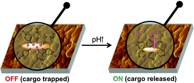Graphical abstract: pH-triggered micellar membrane for controlled release microchips