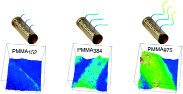 Graphical abstract: Visualization of poly(methyl methacrylate) (PMMA) grafts on cellulose via high-resolution FT-IR microscopy imaging