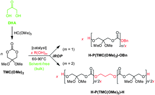 Graphical abstract: Functionalized polycarbonates from dihydroxyacetone: insights into the immortal ring-opening polymerization of 2,2-dimethoxytrimethylene carbonate
