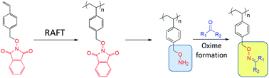 Graphical abstract: Modular oxime functionalization of well-defined alkoxyamine-containing polymers