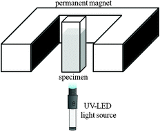 Graphical abstract: Magnetic field effects on photodecomposition of methylene blue over ZnO particles