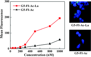 Graphical abstract: Synthesis of glycoconjugated poly(amindoamine) dendrimers for targeting human liver cancer cells