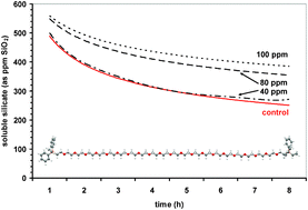 Graphical abstract: Promiscuous stabilisation behaviour of silicic acid by cationic macromolecules: the case of phosphonium-grafted dicationic ethylene oxide bolaamphiphiles