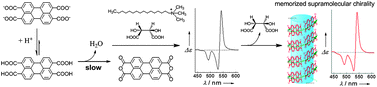 Graphical abstract: Memory of chirality in J-type aggregates of an achiral perylene dianhydride dye created in a chiral asymmetric catalytic synthesis