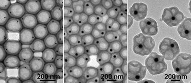 Graphical abstract: One-step synthesis of composite vesicles: Direct polymerization and in situ over-oxidation of thiophene