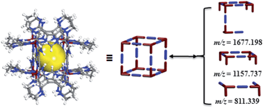 Graphical abstract: Insight into the construction of metal–organic polyhedra: metal–organic cubes as a case study