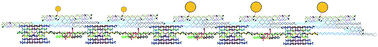Graphical abstract: A programmable transducer self-assembled from DNA