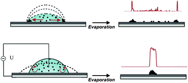 Graphical abstract: Suppressing the coffee stain effect: how to control colloidal self-assembly in evaporating drops using electrowetting