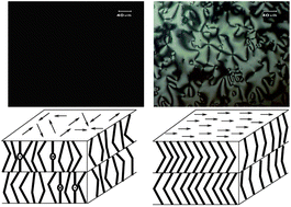 Graphical abstract: Randomly polarised smectic A phase exhibited by bent-core molecules: experimental and theoretical studies