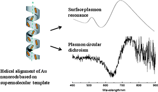 Graphical abstract: Chiral assembly of gold nanorods with collective plasmonic circular dichroism response