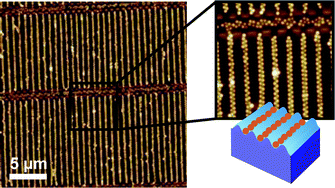 Graphical abstract: Guided self-assembly of microgels: from particle arrays to anisotropic nanostructures
