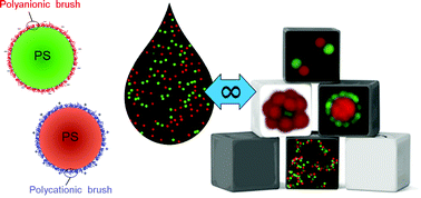 Graphical abstract: Reversible assembly of oppositely charged hairy colloids in water