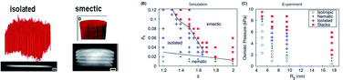 Graphical abstract: Self-assembly of 2D membranes from mixtures of hard rods and depleting polymers