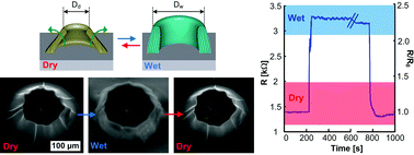 Graphical abstract: Hydrogel-driven carbon nanotube microtransducers